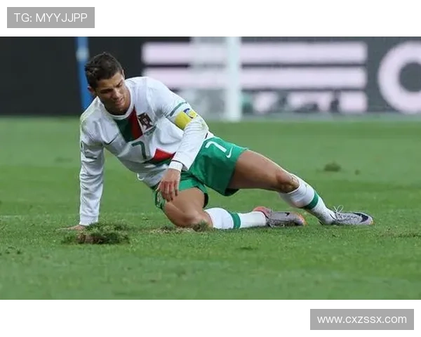 全球知名足球明星的精彩人生与职业成就简介