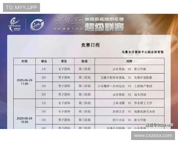 深圳乒乓球队在锦标赛中的比赛经验与表现分析与总结