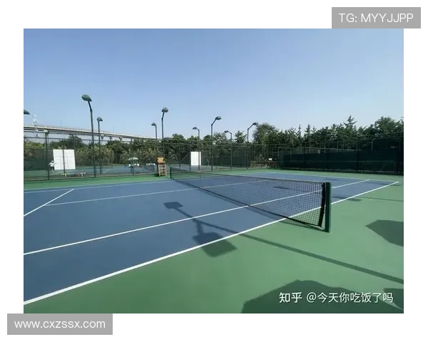 成都网球队力量表现的数据分析与提升策略探讨